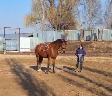 VideoCapture_20250311-162446.jpg