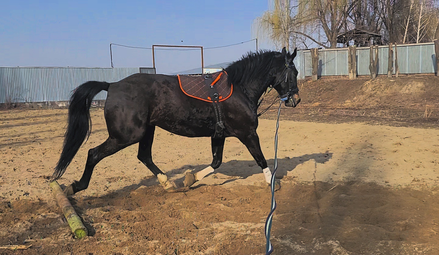 VideoCapture_20250313-173209.jpg