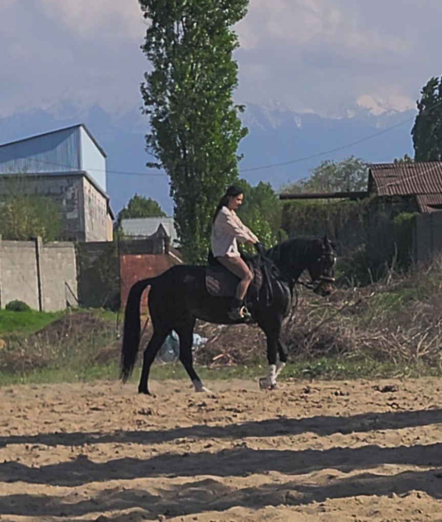 VideoCapture_20250425-154440.jpg