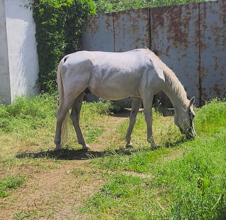 VideoCapture_20250507-125925.jpg