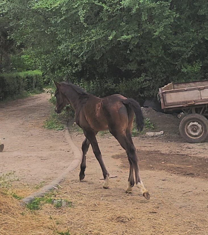 VideoCapture_20250509-134222.jpg
