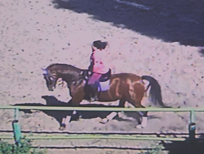 VideoCapture_20250513-155315.jpg