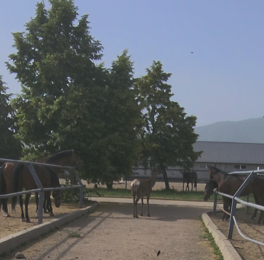 VideoCapture_20250607-114213.jpg