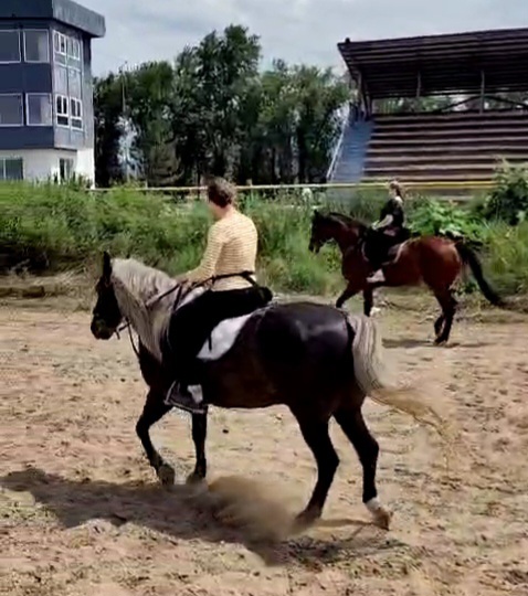 VideoCapture_20250612-194005.jpg