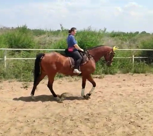 VideoCapture_20250615-141803.jpg