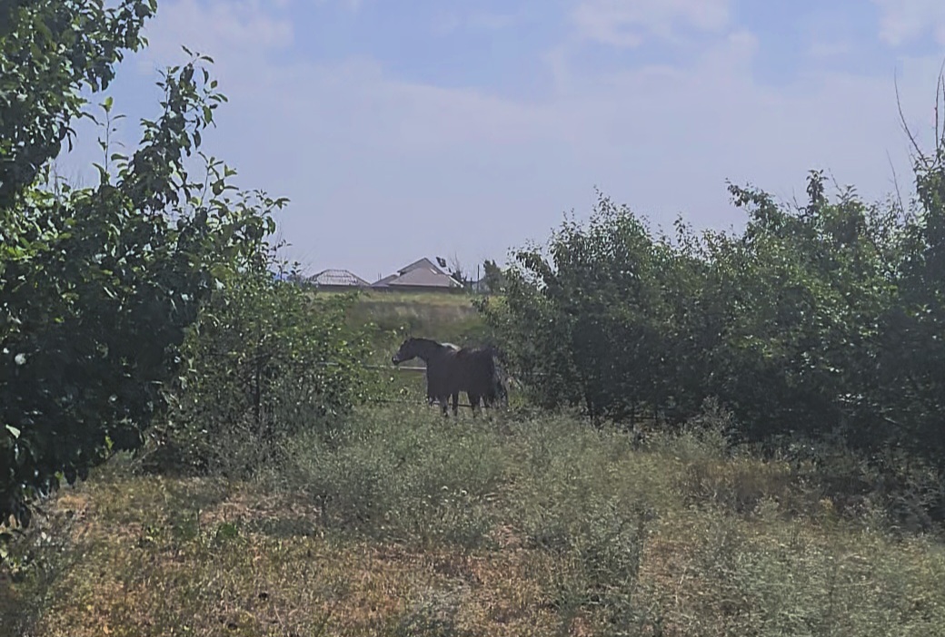VideoCapture_20250618-092135.jpg