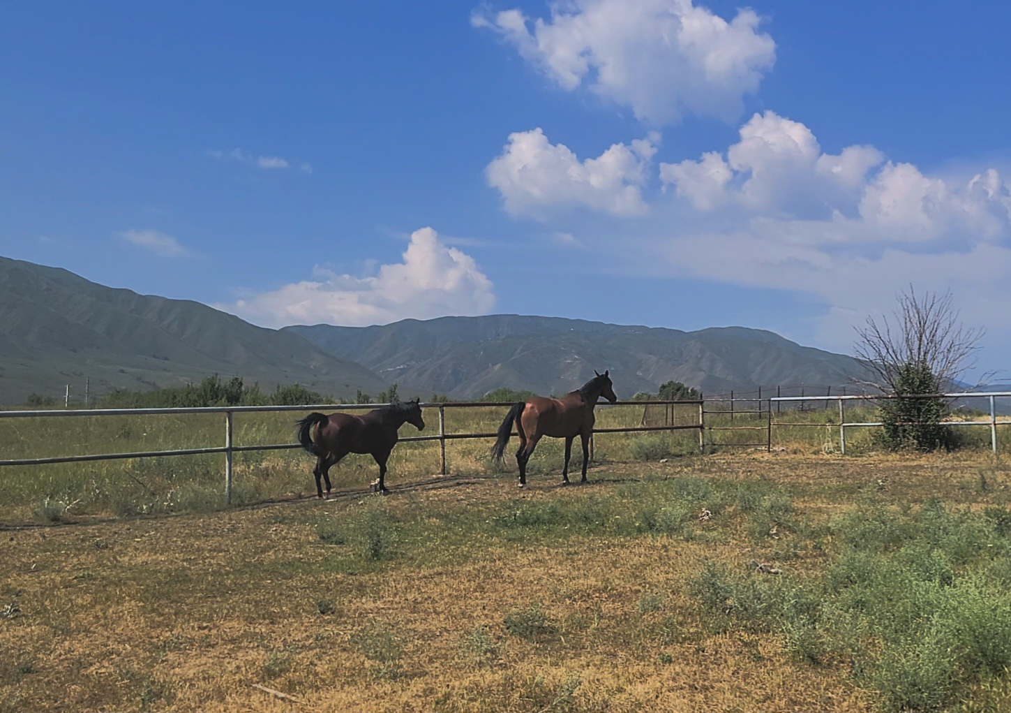 VideoCapture_20250618-092219.jpg