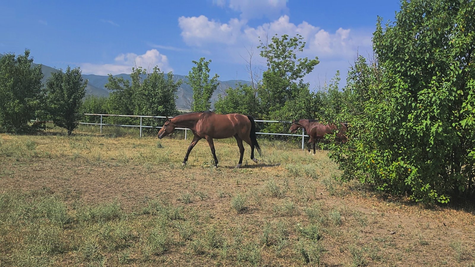 VideoCapture_20250618-092245.jpg