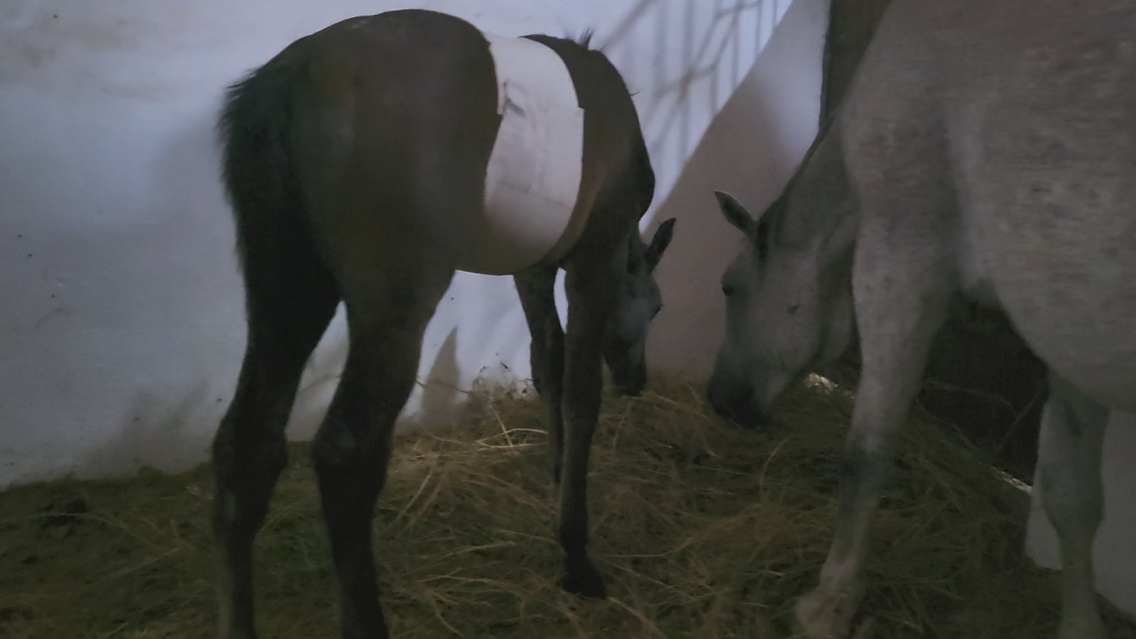 VideoCapture_20250620-000049.jpg