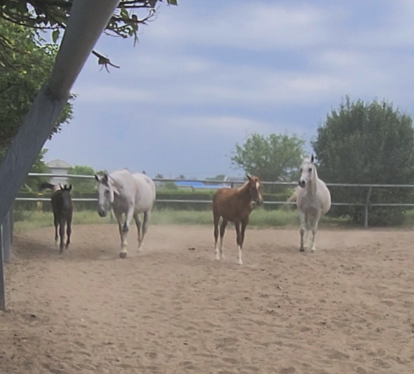 VideoCapture_20250622-214915.jpg