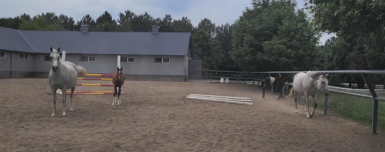 VideoCapture_20250622-214956.jpg