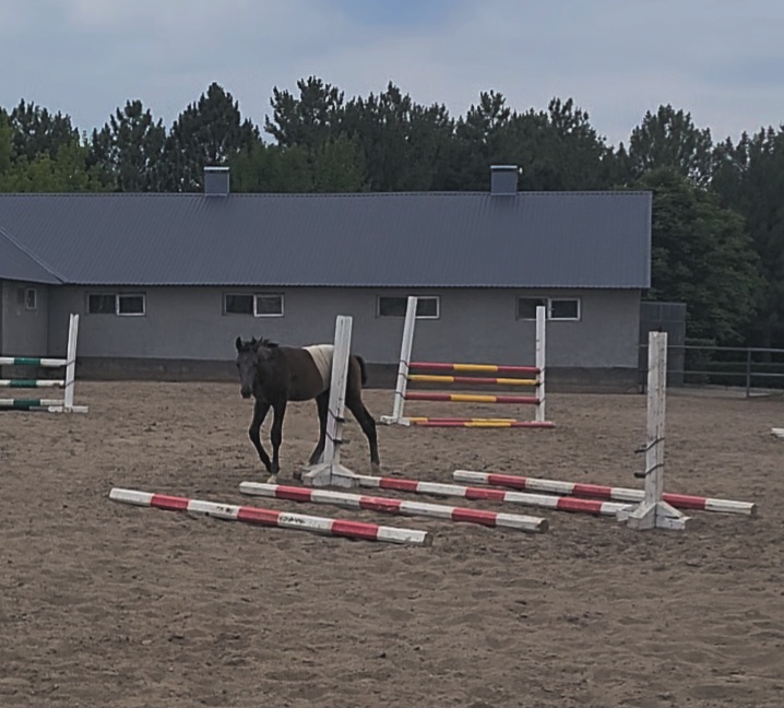 VideoCapture_20250622-215224.jpg