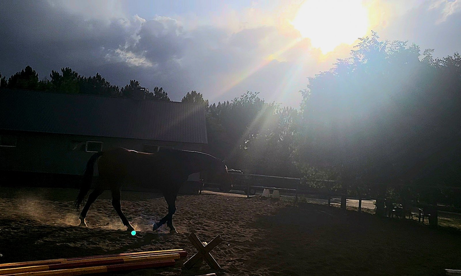 VideoCapture_20250629-174844.jpg