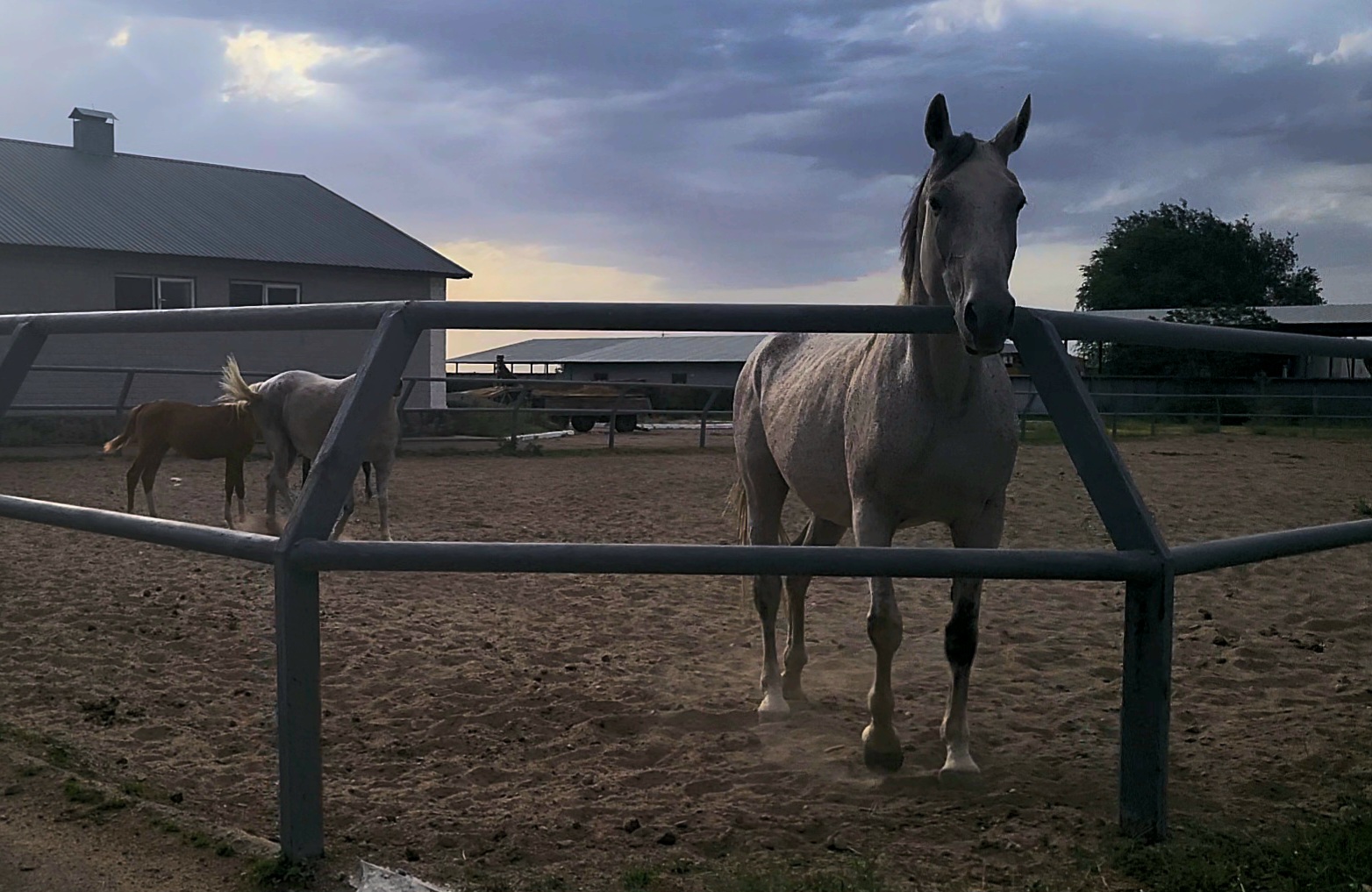 VideoCapture_20250629-175352.jpg