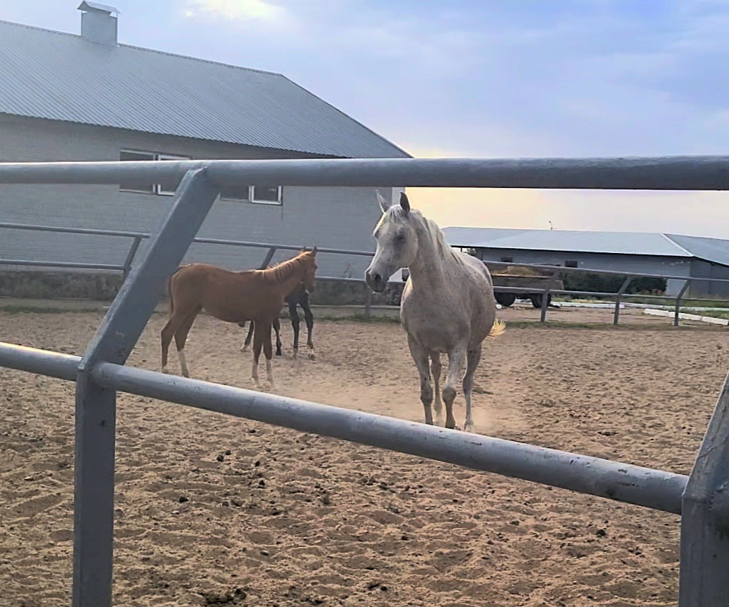 VideoCapture_20250629-175425.jpg