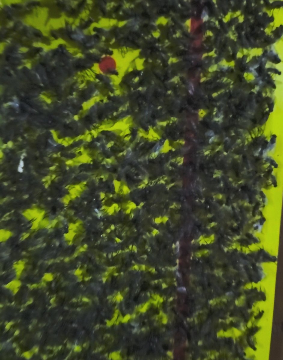 VideoCapture_20250703-215628.jpg