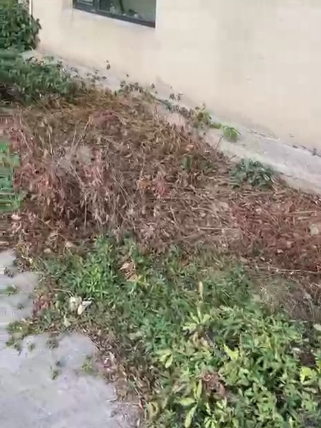 VideoCapture_20250721-222355.jpg