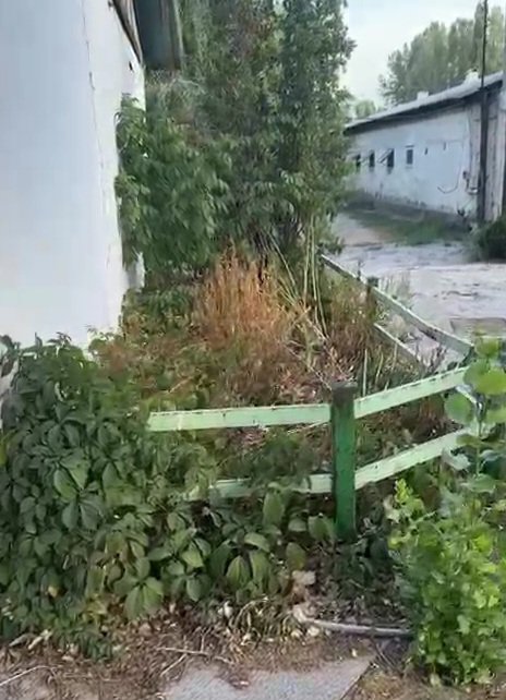 VideoCapture_20250723-074228.jpg