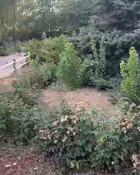 VideoCapture_20250723-074249.jpg