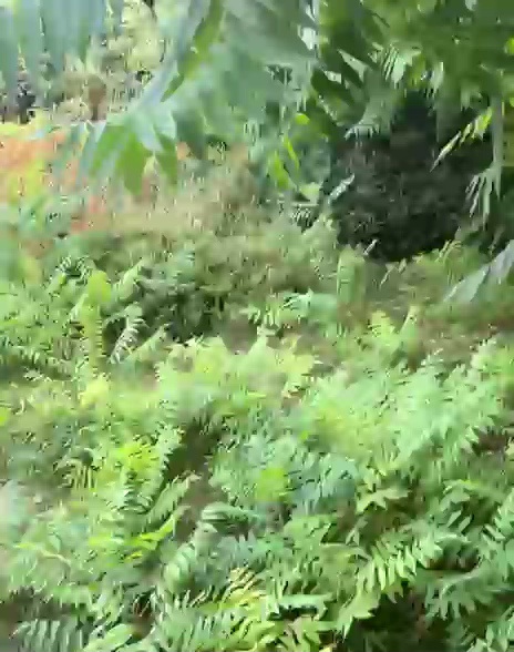 VideoCapture_20250723-091401.jpg
