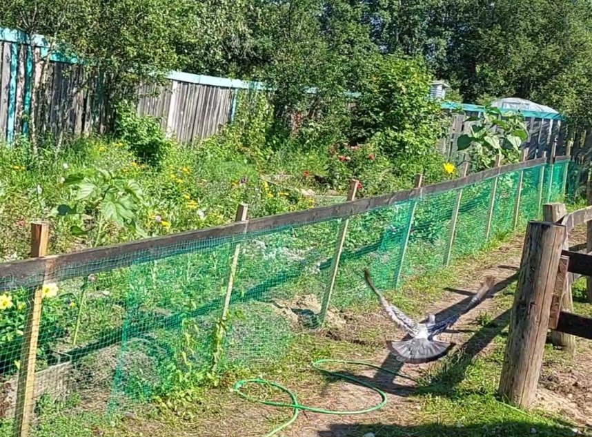VideoCapture_20250726-143453.jpg