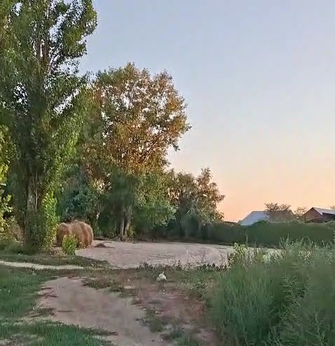 VideoCapture_20250825-204257.jpg