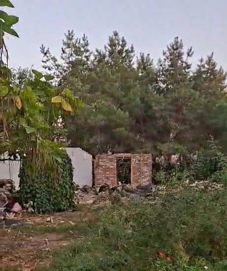 VideoCapture_20250825-204731.jpg