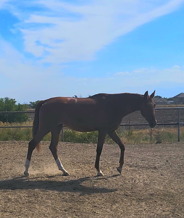 VideoCapture_20250831-143441.jpg