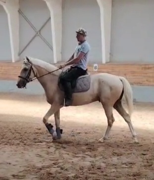 VideoCapture_20250904-142742.jpg