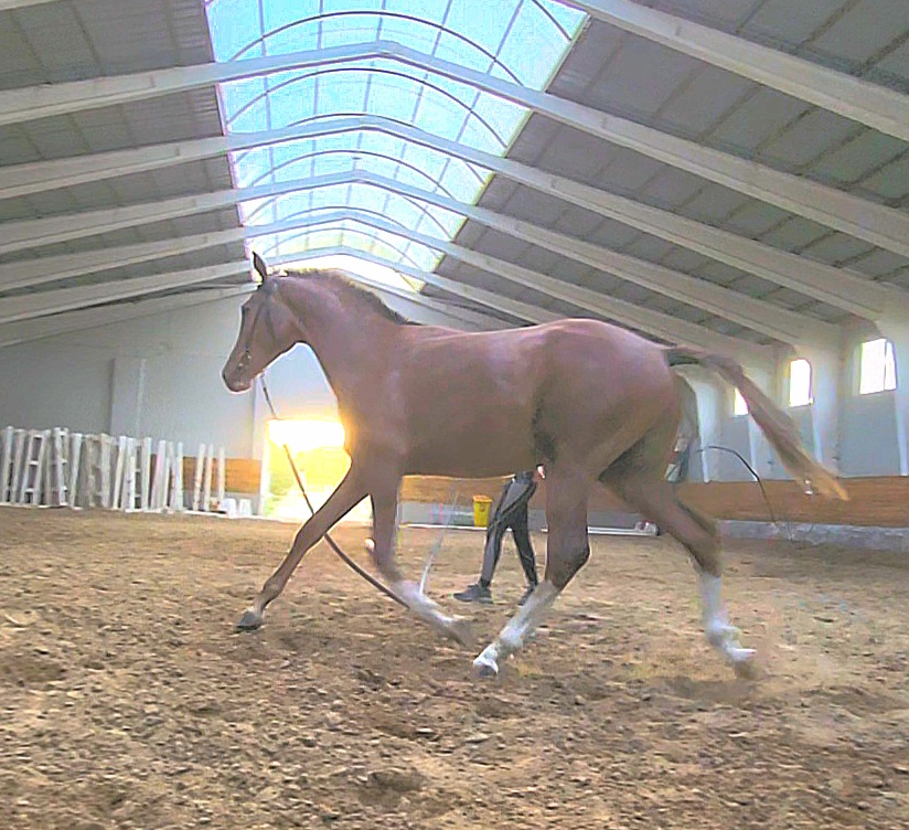 VideoCapture_20250909-202335.jpg