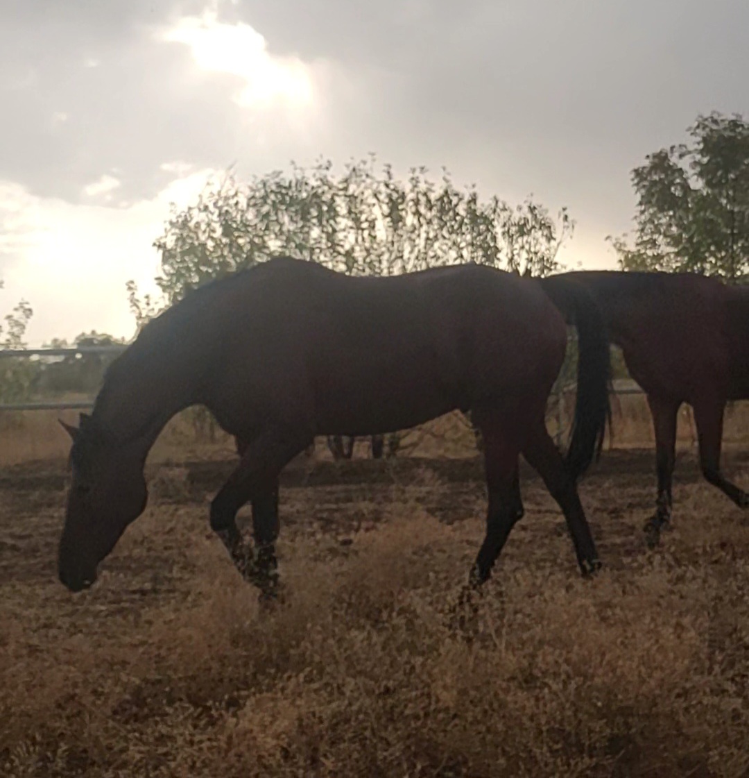 VideoCapture_20250910-170719.jpg