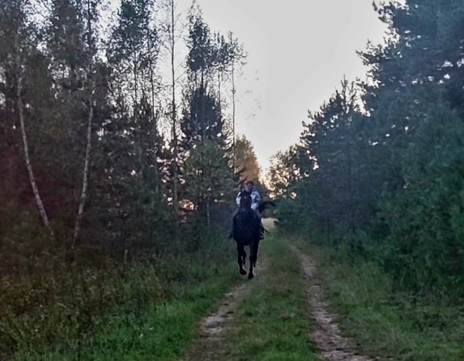 VideoCapture_20250922-234150.jpg
