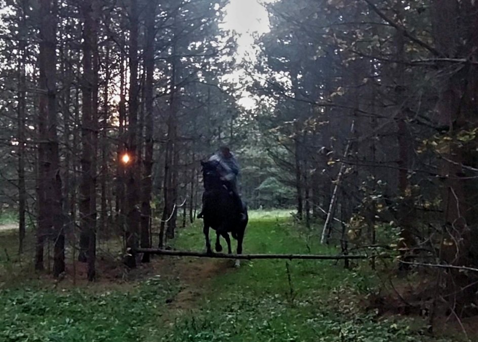 VideoCapture_20250922-234543.jpg