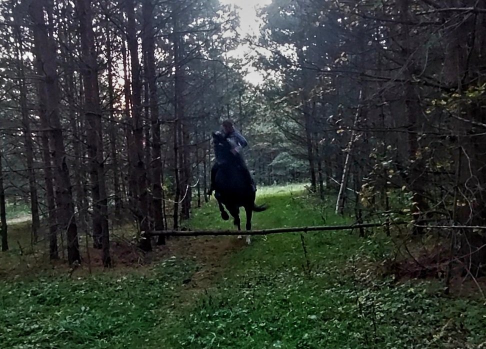 VideoCapture_20250922-234838.jpg