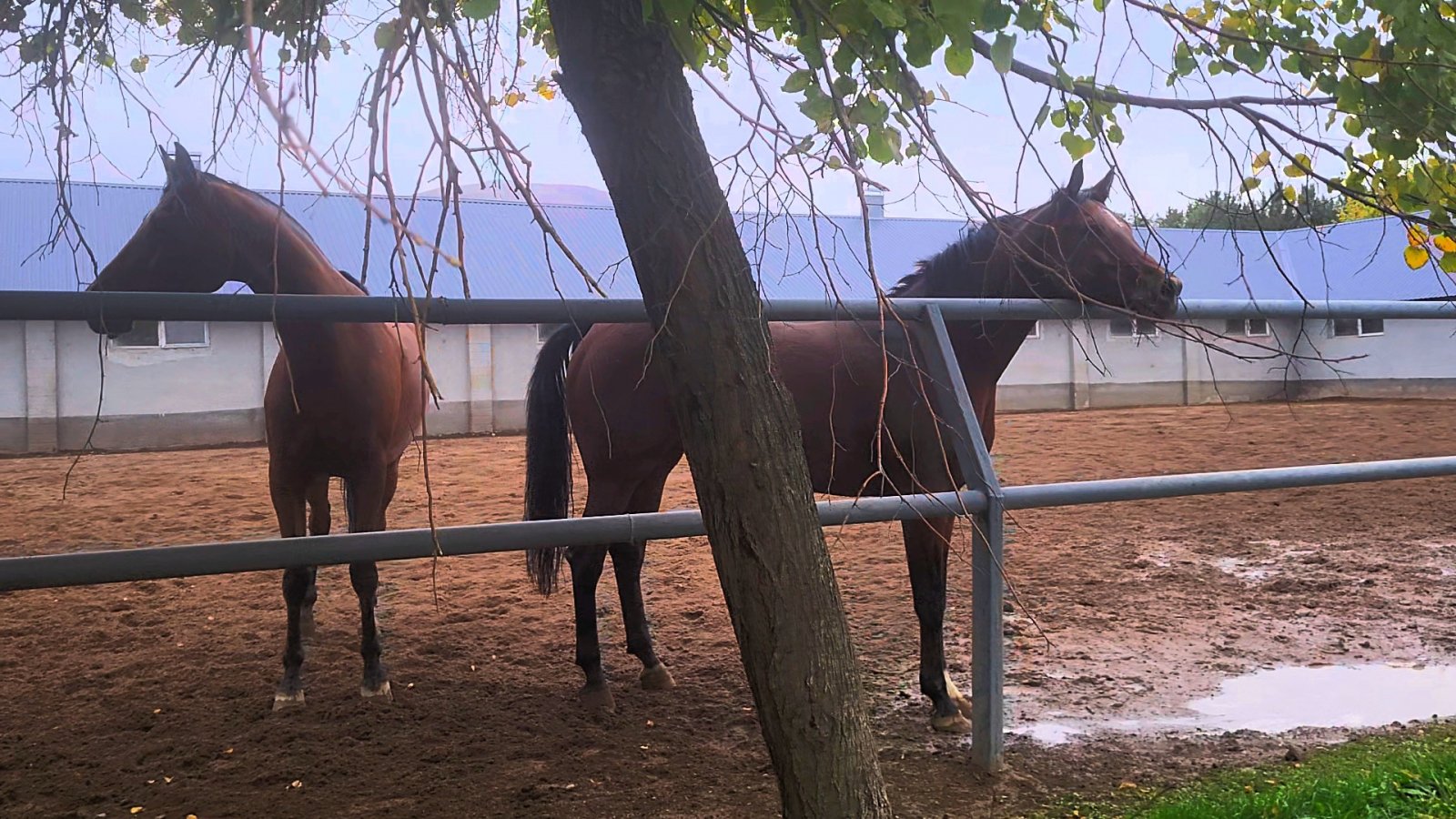 VideoCapture_20250923-204119.jpg