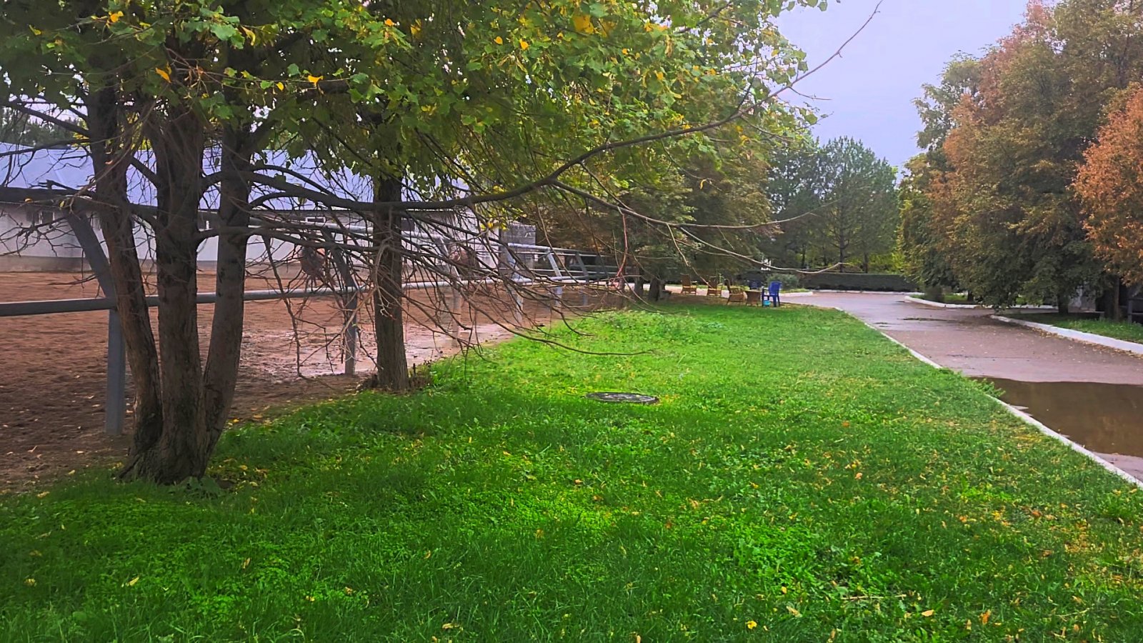 VideoCapture_20250923-204334.jpg