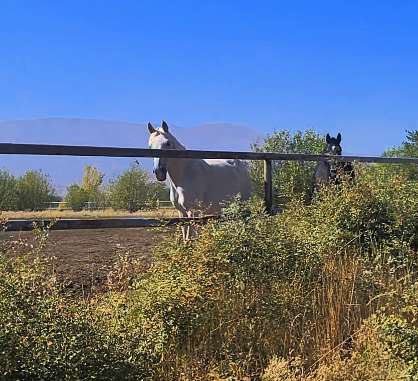 VideoCapture_20250925-102032.jpg