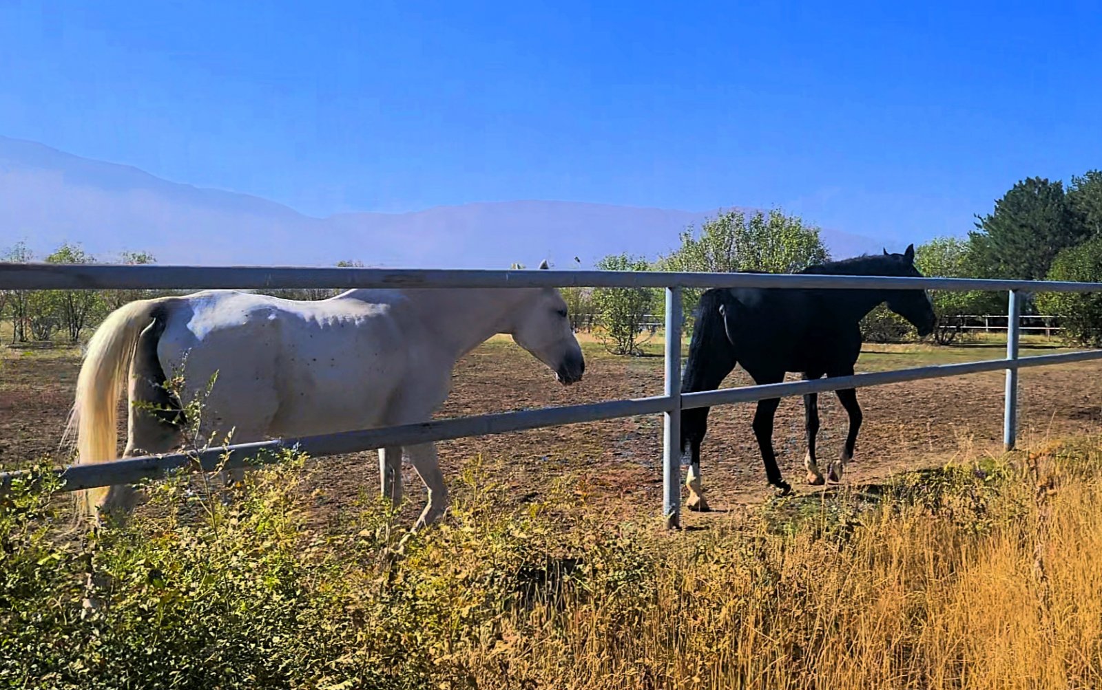 VideoCapture_20250925-102108.jpg