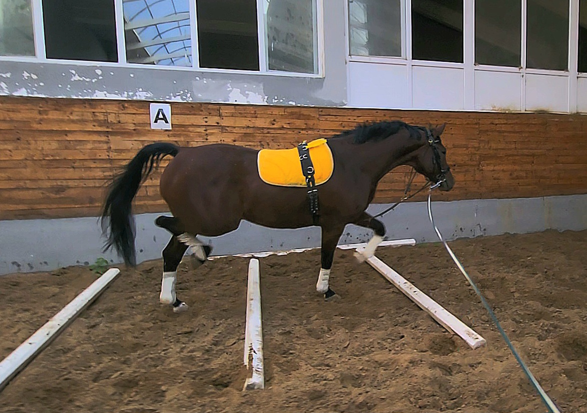 VideoCapture_20251006-141233.jpg