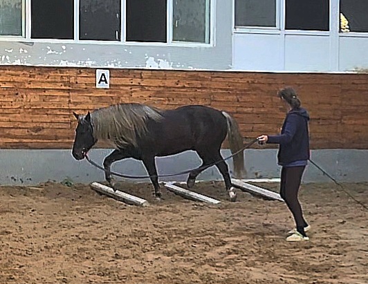 VideoCapture_20251009-172210.jpg