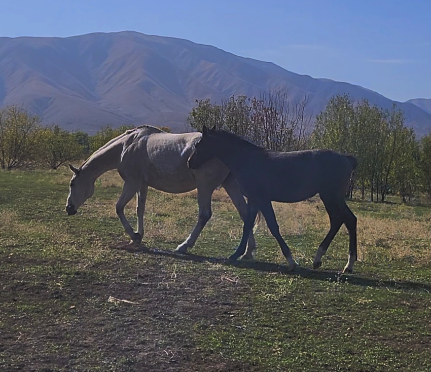 VideoCapture_20251010-104449.jpg