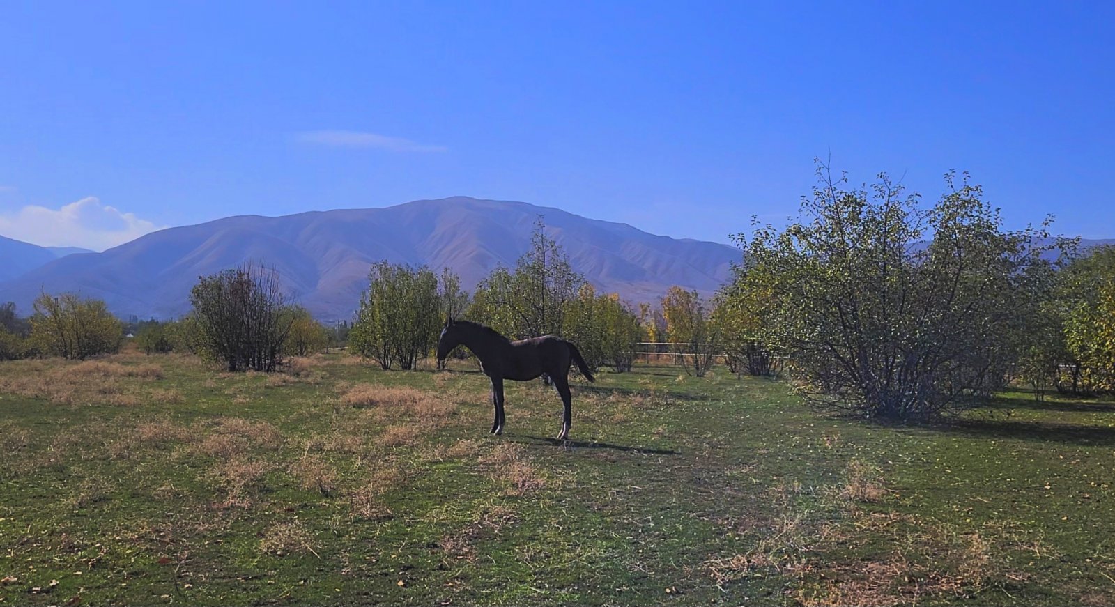 VideoCapture_20251010-104932.jpg