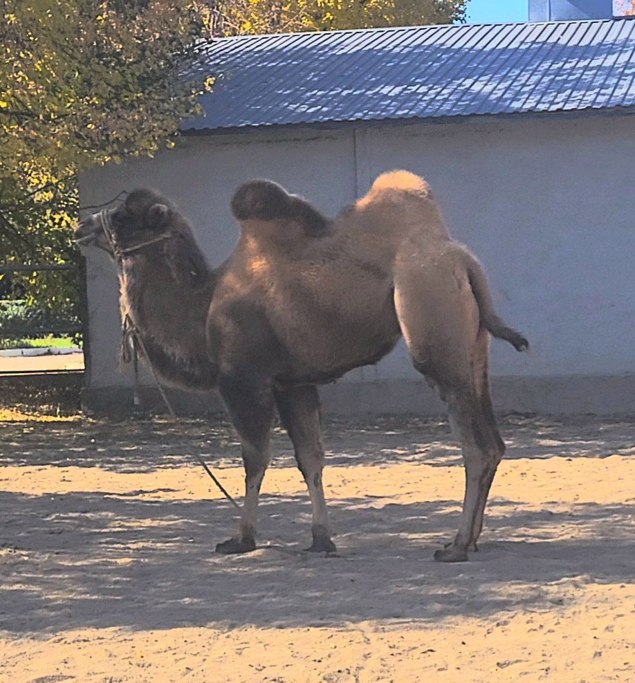 VideoCapture_20251014-110719.jpg