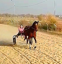 VideoCapture_20251023-161547.jpg