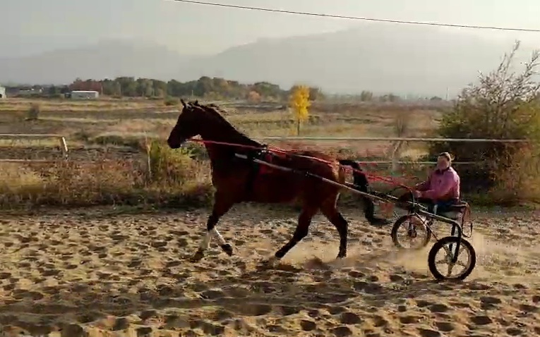 VideoCapture_20251023-203146.jpg