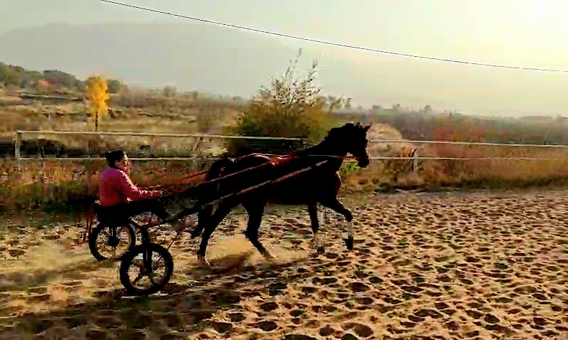 VideoCapture_20251023-203244.jpg