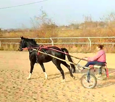 VideoCapture_20251024-161051.jpg