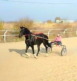 VideoCapture_20251024-161136.jpg