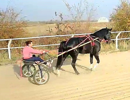 VideoCapture_20251024-161209.jpg