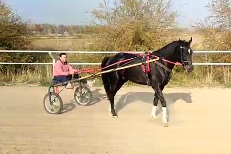VideoCapture_20251024-161341.jpg